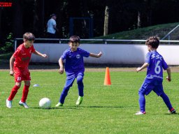 Hillen Cup 2024
